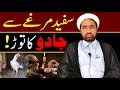 Safad murgha sa jado ka toor ki haqeeqat  by allama fida hussain 