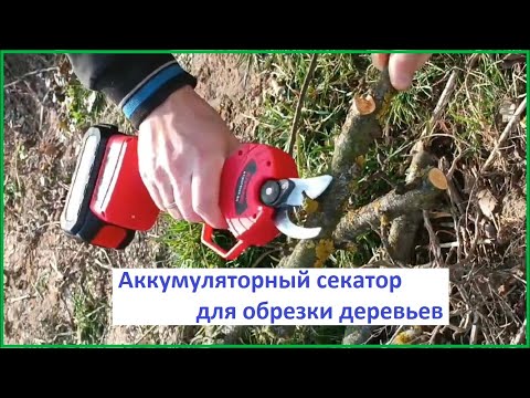 Аккумуляторный секатор для
