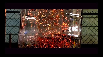 Fireflies in a GIANT Flask!