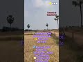 🌾 4 Acres Fertile Red Soil Land for Sale | Devurupula | Clear Title | Bore Water | ₹35 Lakhs/Acre
