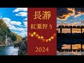 長瀞の紅葉狩り2024 4K