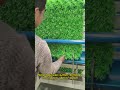 Full automatic high speed artificial grass chain link fence production line