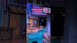 Atlanta Aquarium Sea Lion Show Fun Family Vlog #AtlantaAquarium #SeaLionShow #AquariumVlog #viral26
