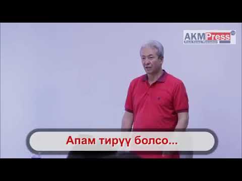 Video: Апама жигит жакпаса эмне болот