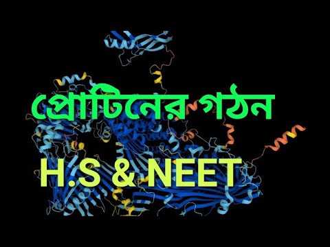 ভিডিও: প্রোটিন কিভাবে বৈশিষ্ট্য নির্ধারণ করে?