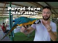 Parrot farm, Kfar Hess 4K