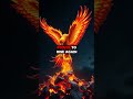 Uncover the Phoenix: A Legendary Tale of Rebirth, Resilience, and Inspiration! ✨ #Phoenix #resilence
