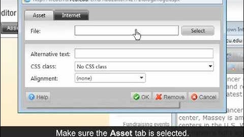 HOW TO UPLOAD IMAGES USING THE TEXT EDITOR