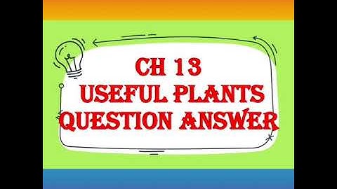 Class II EVS Ch13 Useful Plants QA