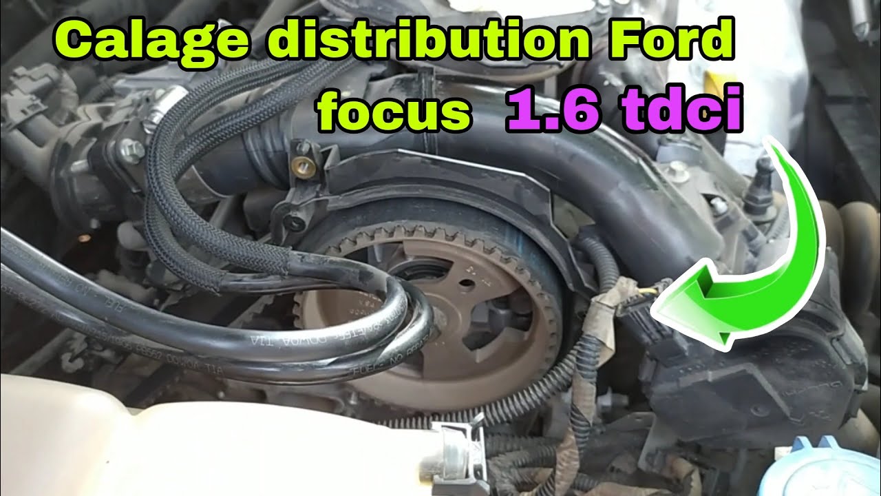 Calage courroie distribution Ford Focus 
