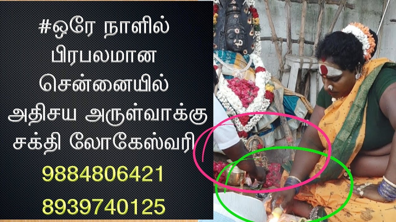 #ஒரே நாளில் பிரபலமான சென்னையில் அதிசய அருள்வாக்கு  சக்தி லோகேஸ்வரி 8072013725