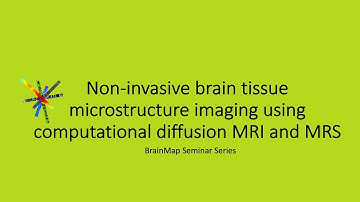 Non-invasive brain tissue microstructure imaging using computational diffusion MRI and MRS