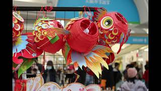 Chinese New Year 2026 Lansdowne Centre Richmond BC Slideshow