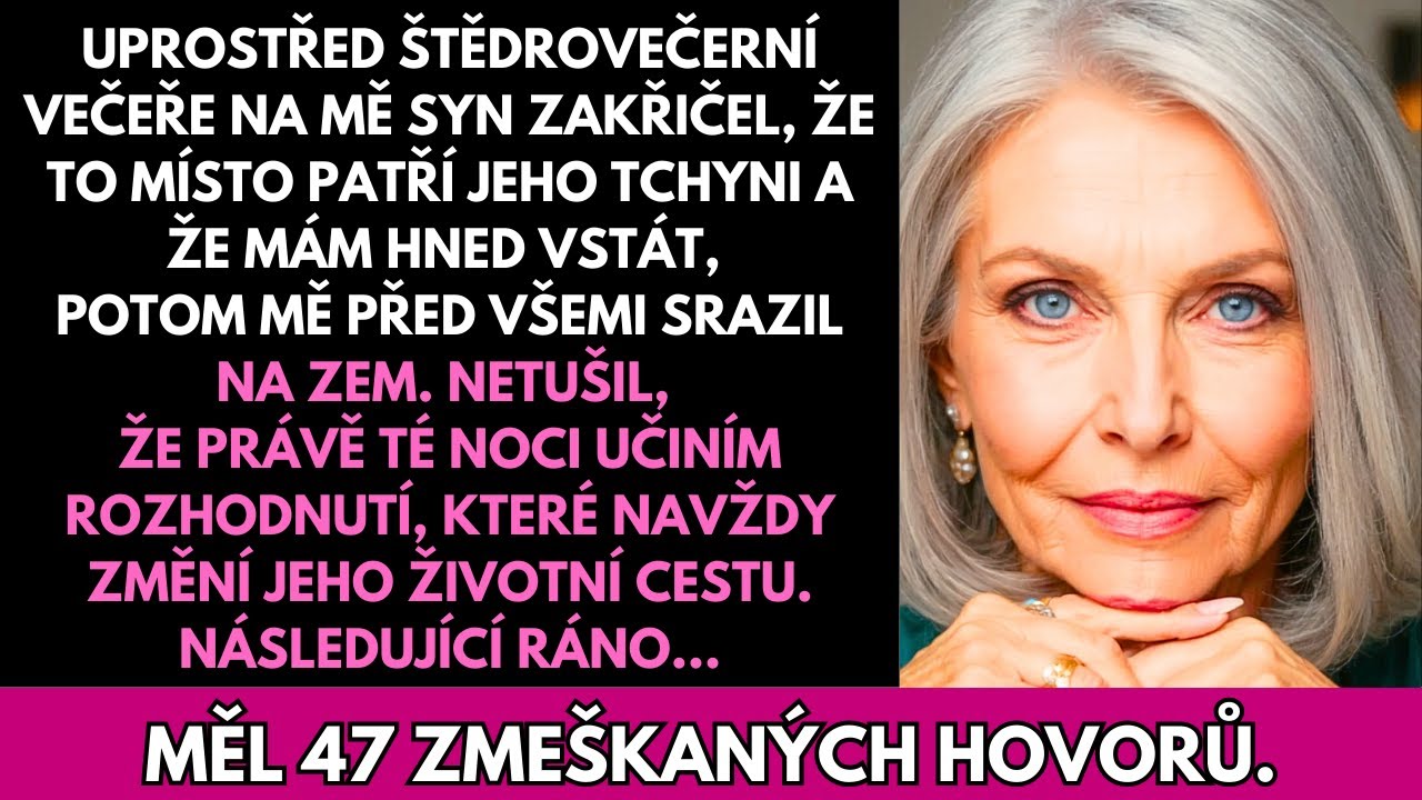 O Vánocích Mě Syn Ponížil: „To Místo Je Pro Mou Tchyni—Vstaň!“ A Pak…