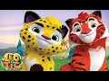 Leo dan Tig 🦁🐯 Kulit Matahari 🌳 Film animasi pendek sedih ⭐ Super Toons TV Bahasa