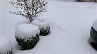 SNOW by Radha Chetan 118 views 3 months ago 1 minute, 42 seconds