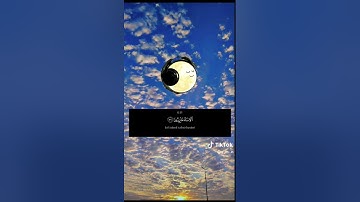 قران كريم بصوت جميل جدا بصوت القارئ ياسر الدوسري سورة الانعام كامله 📚🍃🌱
