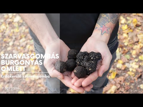 Videó: Szarvasgombás Sütemény