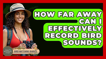 How Far Away Can I Effectively Record Bird Sounds? - Bird Watching Diaries