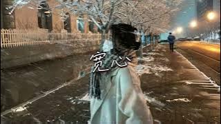 田園 | 寬心 『荒誕的夢兩兩三三 把事看遠 把心放寬 完美戀人要學會分辨』 【高音質 動態歌詞/PinyinLyrics】