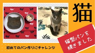【ねこねこ食パン】猫型パンを焼きました！猫好きにはたまらないかわいさ！