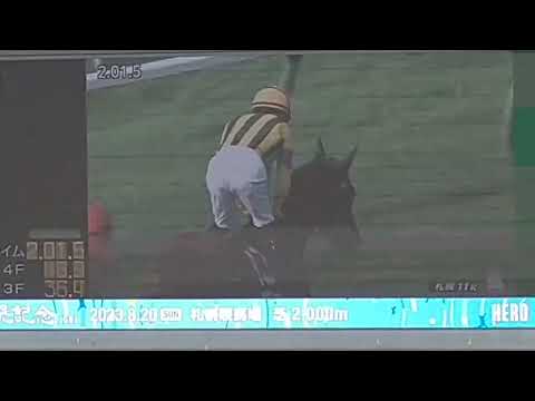 札幌競馬現地映像　札幌記念勝ち馬プログノーシス川田将雅20230820