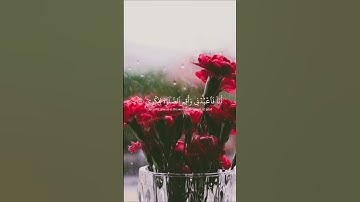 -#القارئ - #أحمد_خضر #اكسبلور #راحة_نفسية #ماشاءالله #اكسبلور