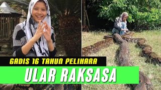 Chalwa Ismah, Gadis Remaja Pemelihara 6 Ular Piton Raksasa