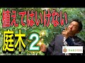 【植えてはいけない庭木②】造園のプロが、一般家庭には絶対に植えて欲しくない植木を紹介する動画の続編！植えて後悔する前に、ご自宅の植木選びの参考にしていただけたら嬉しです。