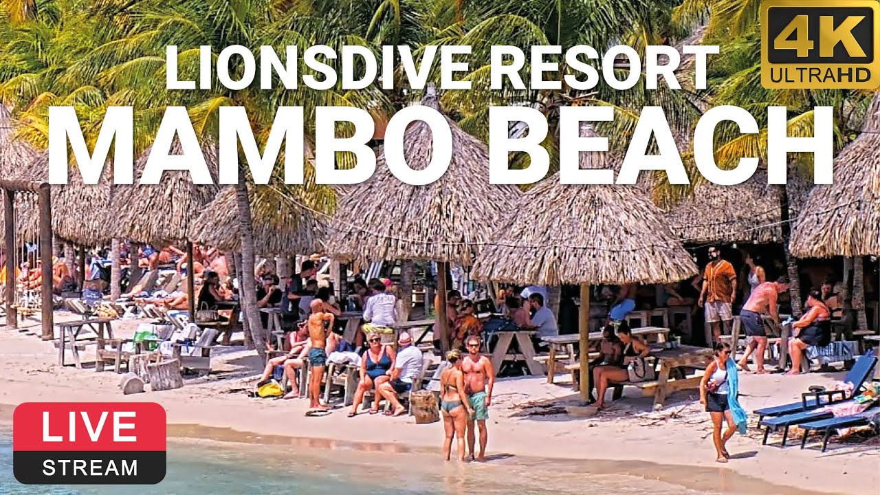 LionsDive Beach Resort  Mambo Beach  Curaao  PTZ 4K LIVE WEBCAM