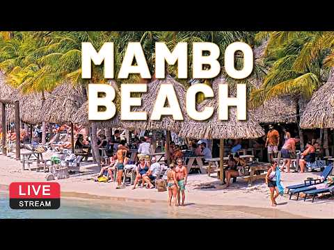 🌴 LionsDive Beach Resort | Mambo Beach | Curaçao | LIVE Cam