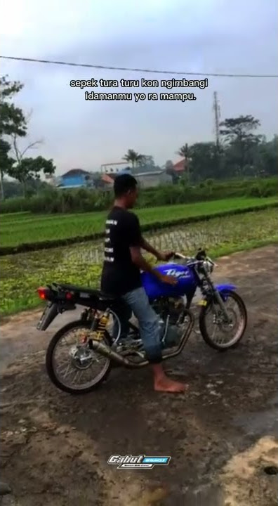 Story Wa Herex Tiger Terbaru, Keren.