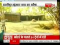 Tiger Terror In Hajipur
