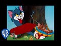 Tom & Jerry in italiano | Tutti i trucchetti  | WB Kids