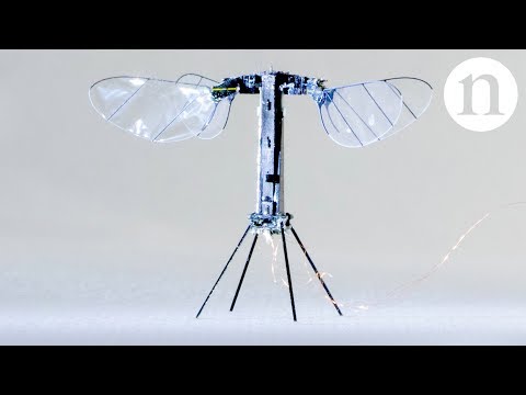 ．史上最輕無人機：比迴紋針還輕，自帶太陽能系統，實現無纜飛行