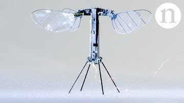 Insect-sized robot takes flight: RoboBee X-Wing