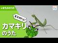 【実写版】つよいハンター！カマキリのうた