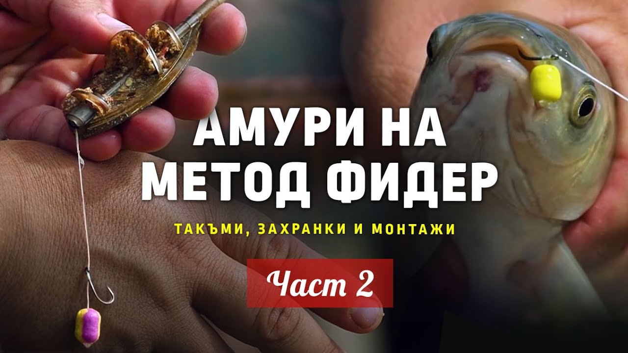 АМУРИ на МЕТОД ФИДЕР /Реални ПОДВОДНИ КАДРИ на кълване! /Такъми, захранки и монтажи... 2 част