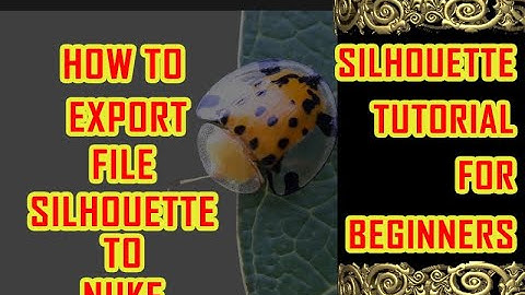 silhouette to nuke | how to export file from silhouette to nuke |silhouette tutorial in hindi