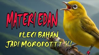 MASTERAN PLECI NEMBAK KEKINIAN | Pleci Bahan Ombyokan Jadi Laku MAHAL🔥
