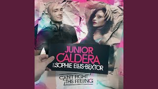 Can't Fight This Feeling (Junior Caldera Remix - Radio Edit)