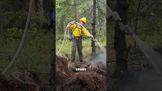 Wildfire Near Ambler: Alaska Communities Stay Alert
