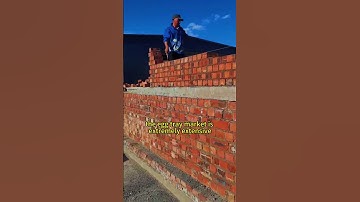 Invest in the egg tray machine business #machine #factoryproducts #factory #eggtray #construction