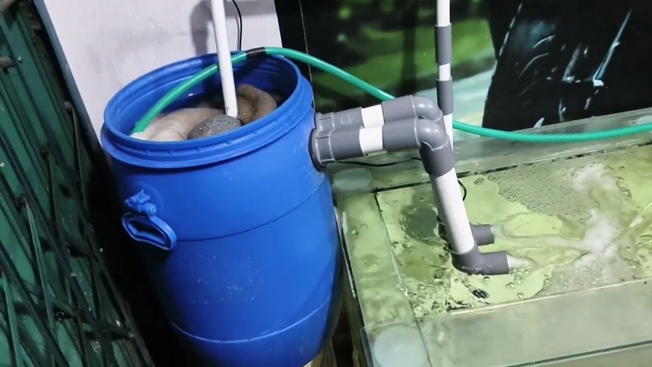 Filter gentong 120 liter aman buat maskoki