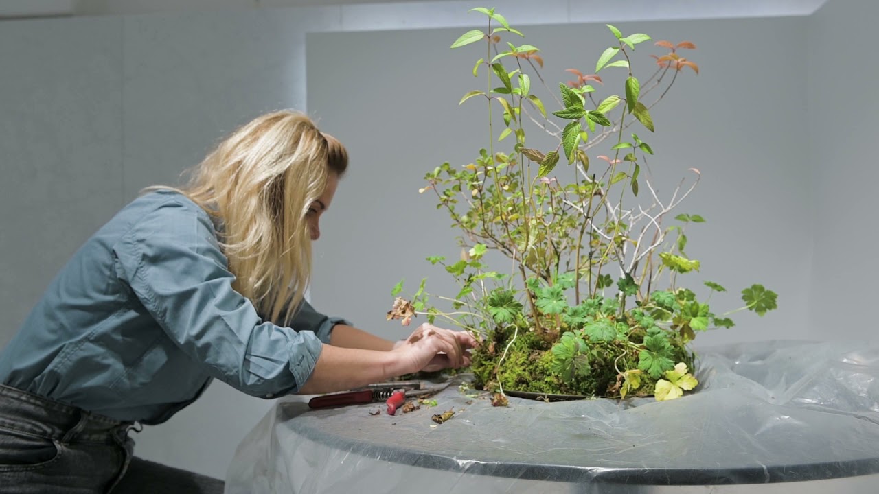 Marsotto Edizioniとコラボした展示会を開催大理石と植物の調和 | 株式