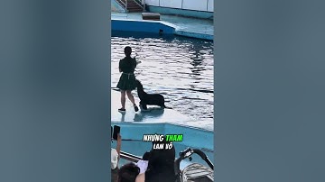 ĐỜI NGƯỜI CÓ 4 CÁI HOẠ…#tritue #daolycuocsong #tuduy #đạolý #baihoccuocsong 