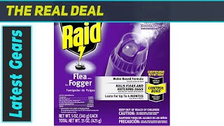 Raid Flea Flogger Plus Killer Ultimate Flea Elimination?