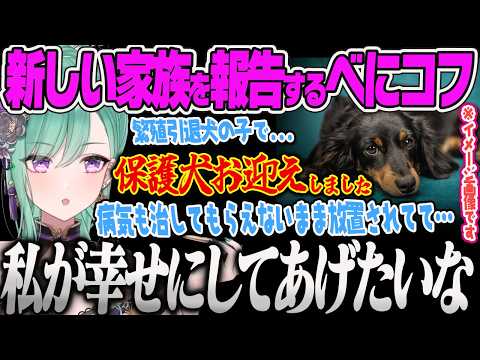 【八雲べに】悪質なブリーダーに捨てられた保護犬を家族に迎え入れたことを報告し、幸せにすると約束するべにコフ【らっしゃー、タルコフ、Escape from Tarkov 、ぶいすぽっ！】
