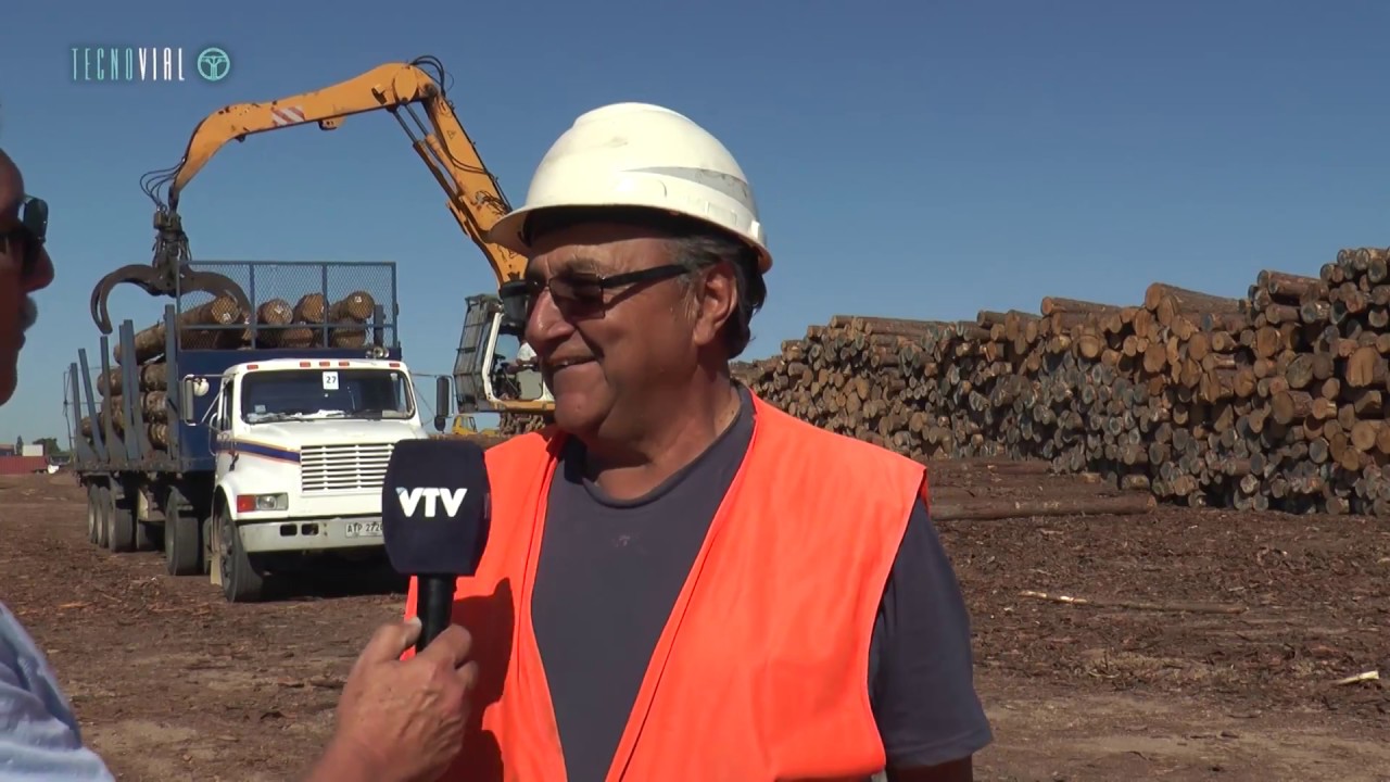 TECNOVIAL N°53 - CONTINUA LA EXPORTACIÓN DE PINOS A CHINA