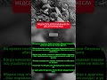 Медсестра, вынесшая десятки раненых с поля боя #вов #историивойны #героивойны #shorts